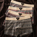 James | Retro-Style Boxer Briefs